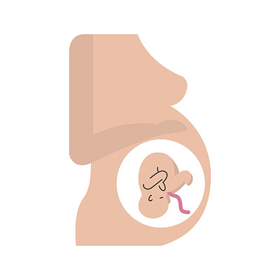 孕妇和胎儿图片下载