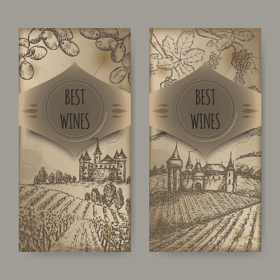 一套有葡萄园和城堡的2个葡萄酒标签图片下载