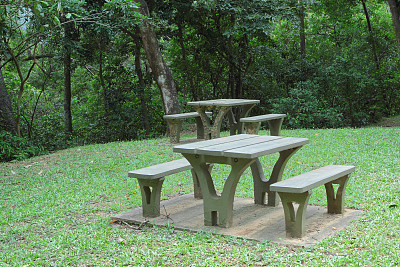 森林野餐地点图片下载