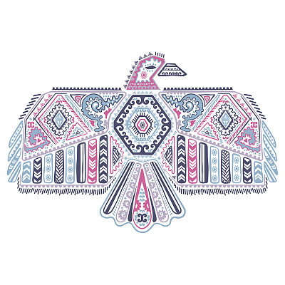 美洲本土鹰图图片下载