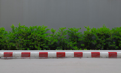 低矮的灌木篱笆与墙的背景。图片下载