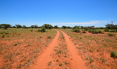 北开普景观图片下载