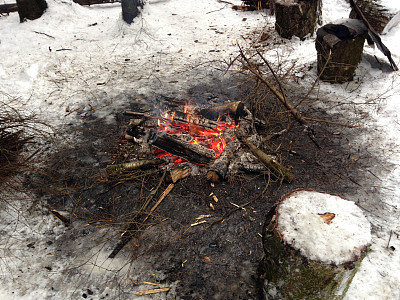 莫斯科郊区的火灾在冬天在俄罗斯的森林。图片下载