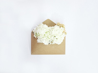 信封里有白花图片下载