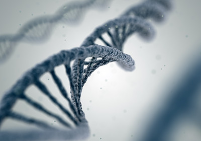 白色背景上的DNA分子素材图片