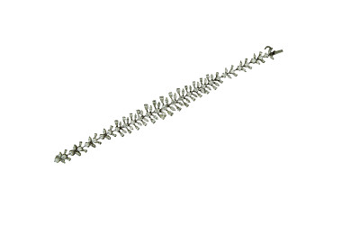 手链孤立在白色背景上。图片下载