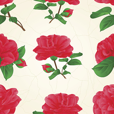 无缝纹理三花茶花与花蕾复古裂缝矢量插图图片下载