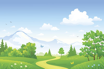 夏天的森林景观图片下载