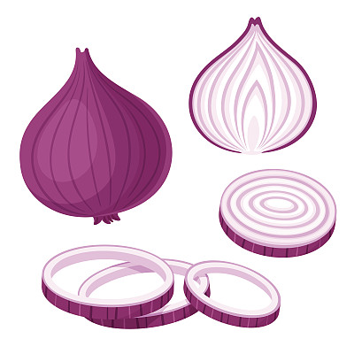 红洋葱插图套装素材图片