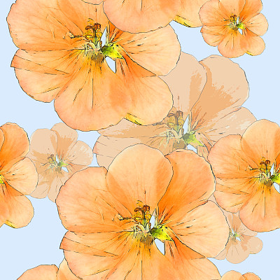 天竺葵、陇牛儿苗科天竺葵属植物。花型纹理无缝。花背景，照片拼贴图片下载