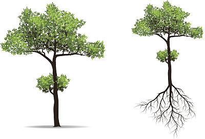 有根的大树图片下载