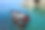 海鲜烧烤在海上的游艇甲板上烧烤图片下载