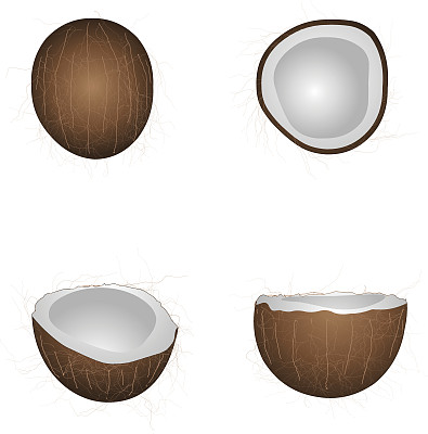 椰子转身图片下载
