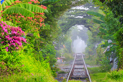 隧道铁路-真正的隧道绿树在泰国曼谷图片下载