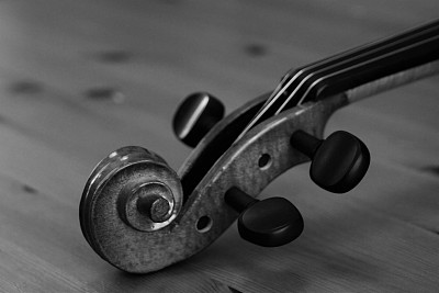 小提琴的头图片下载