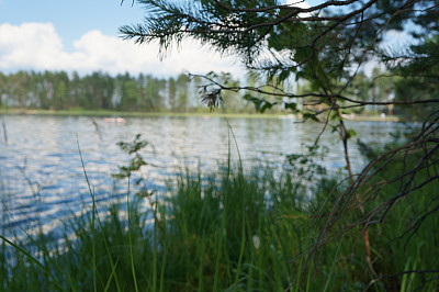 夏天的风景图片下载