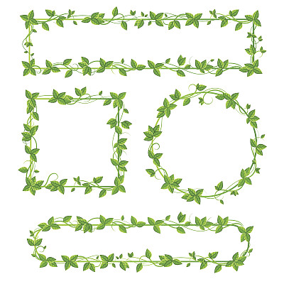 白色背景上的叶边设计素材图片