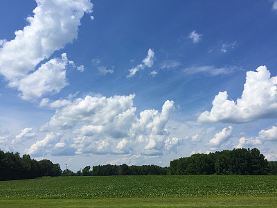 国家夏天的早晨图片下载