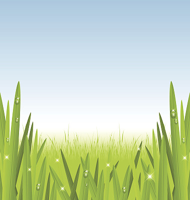 早上草图片下载