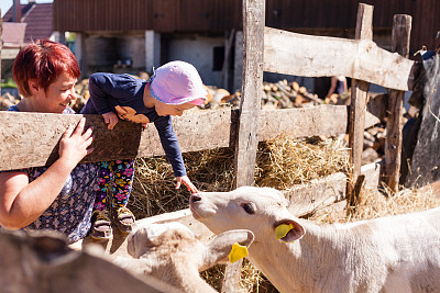 女孩在玩水壶图片下载