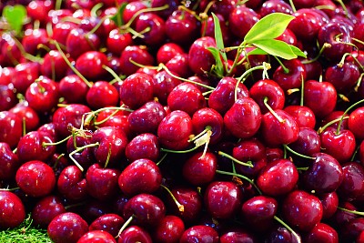 甜樱桃素材图片