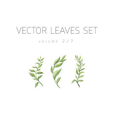 明亮的水彩叶子孤立的白色背景图片下载