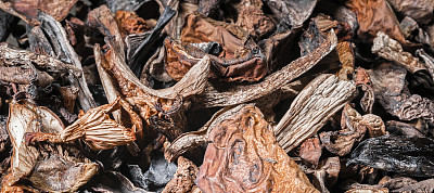 干蘑菇的背景。图片下载