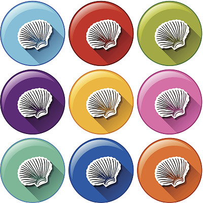 按钮和贝壳图片下载