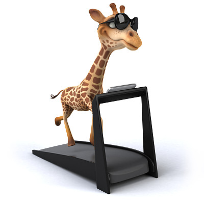 有趣的长颈鹿图片下载