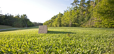 球道上的高尔夫球座素材图片
