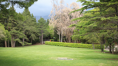 米洛克公园图片下载