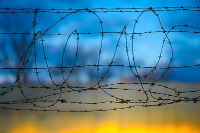 铁丝网图片下载