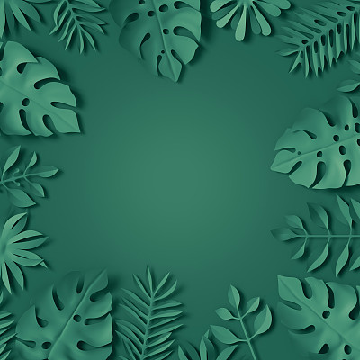 3d渲染，热带树叶，蓝色场景背景，丛林，框架图片下载