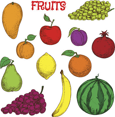 成熟新鲜的水果，五彩斑斓的素描象征图片下载