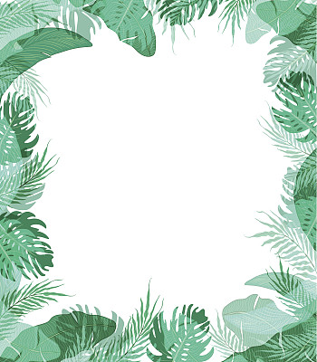 可爱的框架与夏季热带树叶素材图片