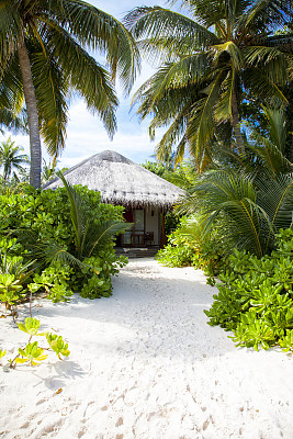 灌木丛中的平房图片下载