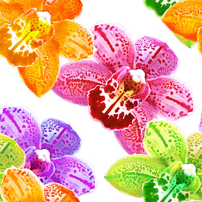 兰花,蝴蝶兰属。花型纹理无缝。花背景，照片拼贴图片下载