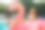 年轻和性感的女孩有乐趣和大笑在一个充气巨大的粉红色火烈鸟游泳池浮在比基尼床垫。迷人的古铜色女人躺在阳光下度假图片下载
