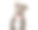 可爱狗狗图片素材ID：169438480