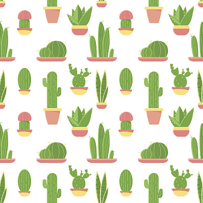 无缝模式的仙人掌和多肉在花盆。扁平设计的仙人掌孤立在白色的背景。矢量插图。素材图片