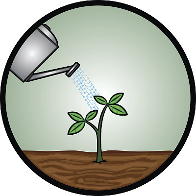 给植物浇水图片下载