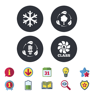 新鲜空气图标。有叶子的森林树。图片下载