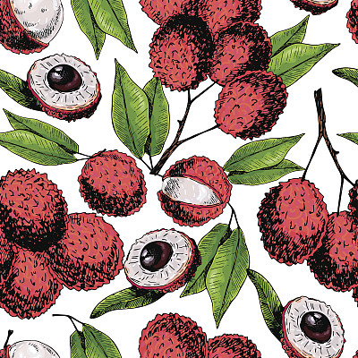 矢量手画分离荔枝无缝模式。雕刻的艺术。美味的热带素食水果。图片下载