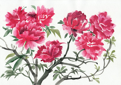 紫色的杜鹃花图片下载