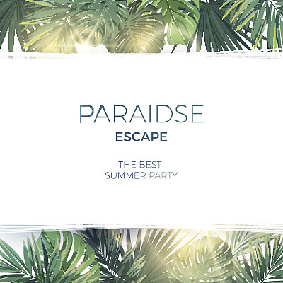 绿色的夏季热带背景与外来的棕榈叶和植物。向量的背景素材图片