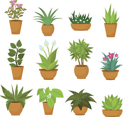 室内外景观盆栽植物矢量图素材图片