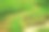 蜿蜒的石头小径穿过花园池塘图片下载