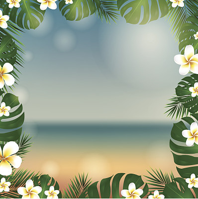 框架棕榈树和鸡蛋花图片下载