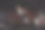 女照片素材ID：169500118