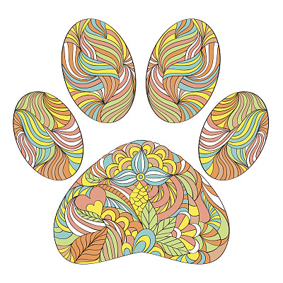 白色背景上的动物爪印图片下载